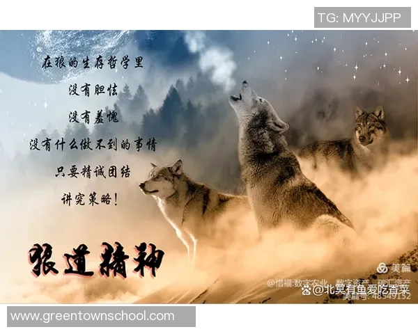 重庆篮球队团队协作的成功之道与战术分析探讨